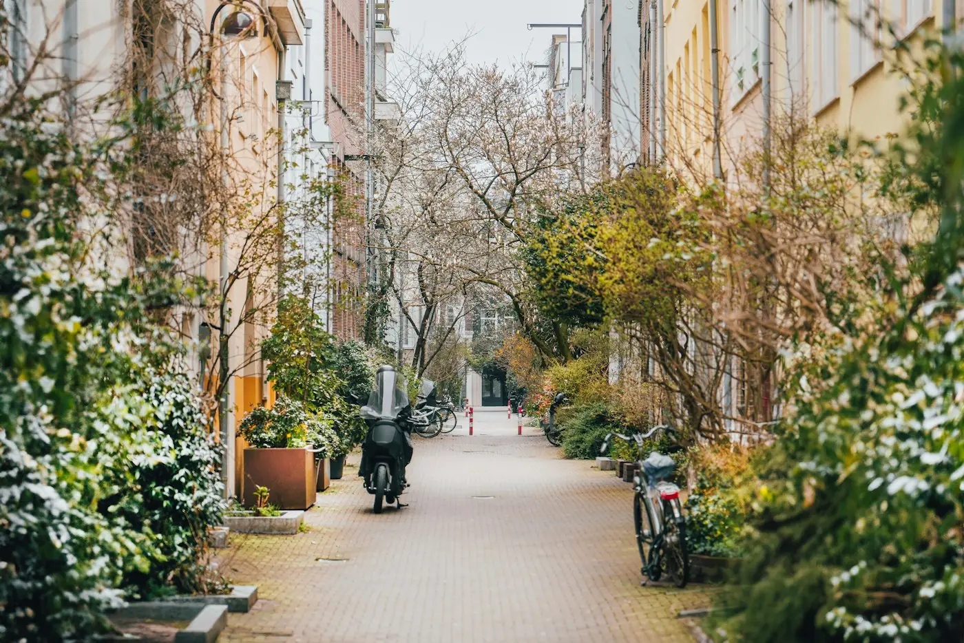 A quiet, tree-lined city street with greenery and a parked moped